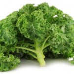 Kale Organic