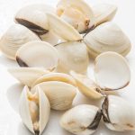 fresh white clams